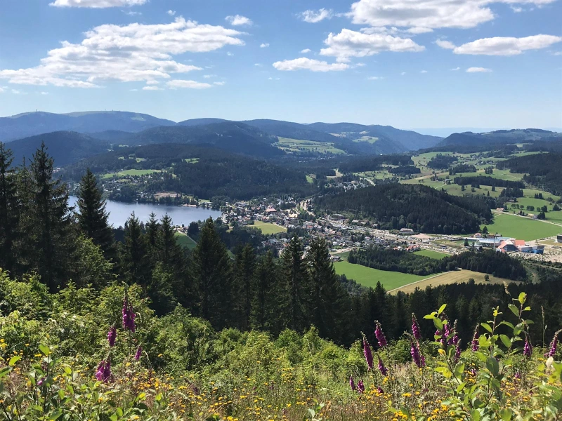 Titisee